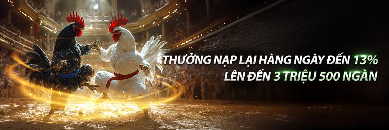 Đá gà Thomo ngày 15/10/2023 – Sân đấu kịch tính